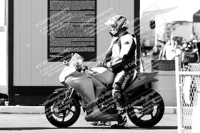 media/Feb-12-2022-SoCal Trackdays (Sat) [[3b21b94a56]]/Around the Pits/